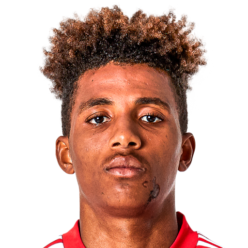 Gedson Fernandes