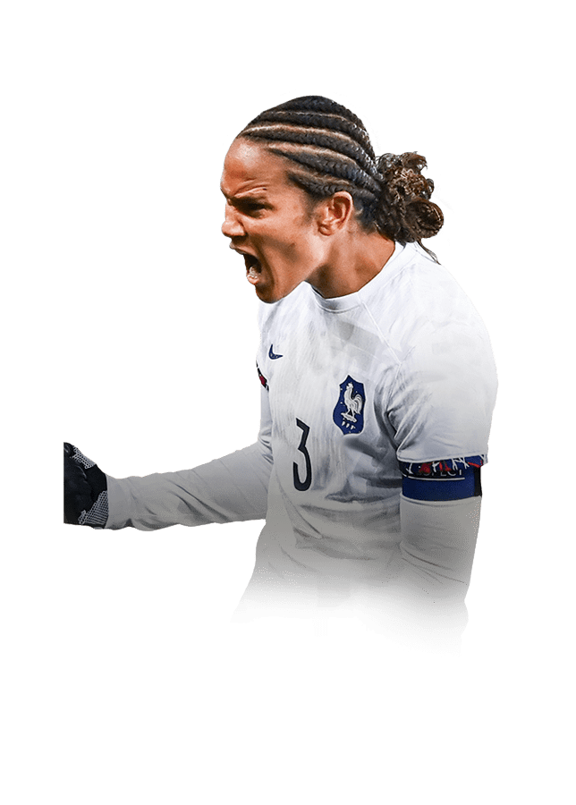 Wendie Renard