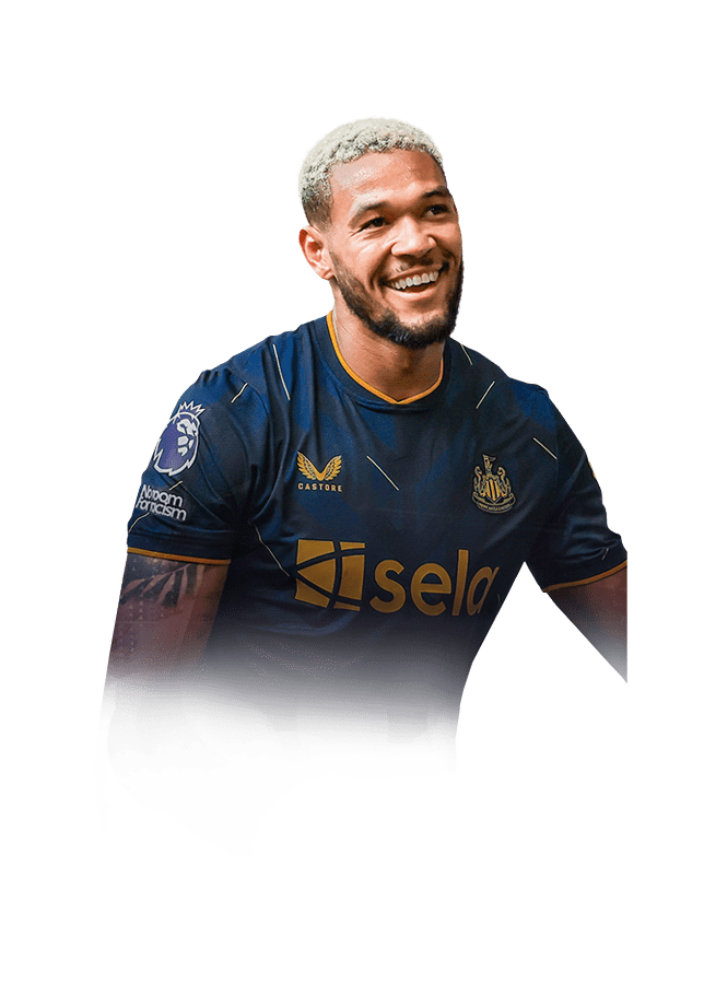 Joelinton Joelinton