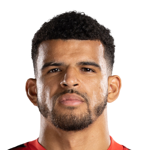 Dominic Solanke